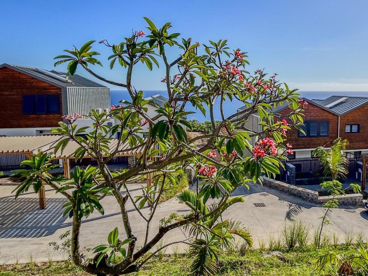 Le Reve Bleu Grand Anse Apartment Petite Île Exterior foto