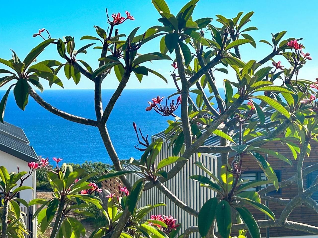 Le Reve Bleu Grand Anse Apartment Petite Île Exterior foto